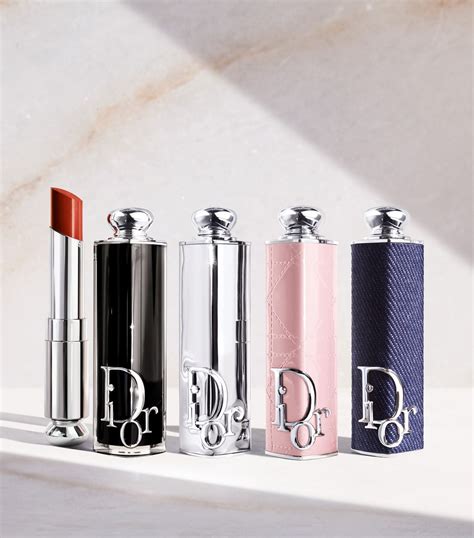 tuileries dior lipstick case|dior addict lipstick case.